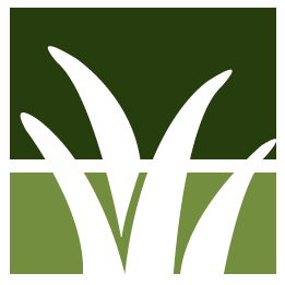 Prescott Lawn Clean Up
