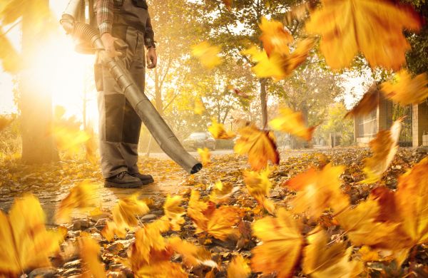 Cost of Leaf Blowing Service in Prescott