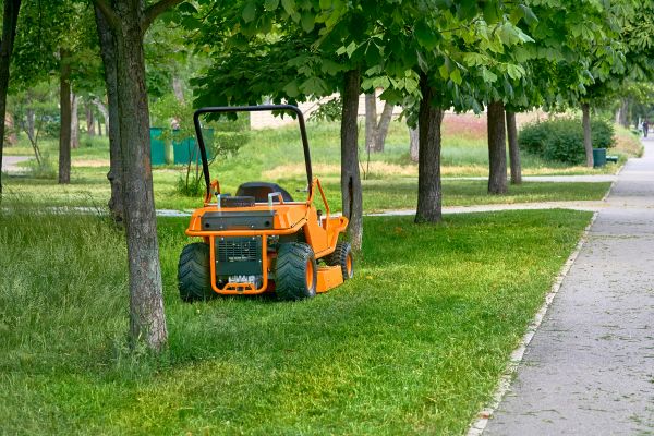 Cost of Landscaping Cleanup Service in Prescott