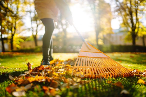 Cost of Leaves Raking in Prescott