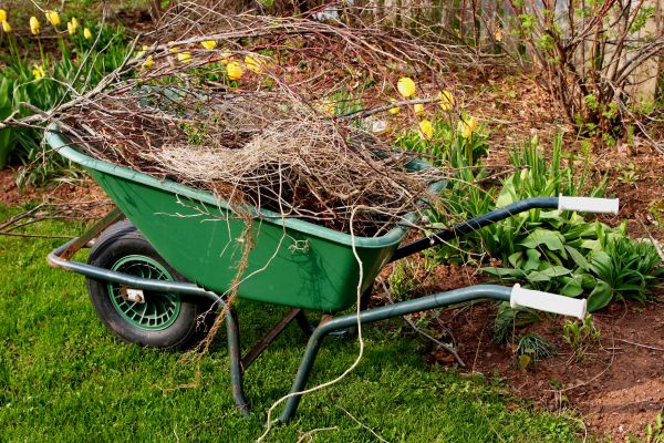 Cost of Lawn Waste Removal in Prescott