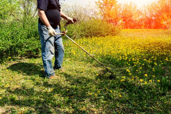 Cost of Yard Clearing Service in Prescott