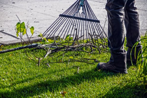Cost of Yard Debris Cleanup in Prescott