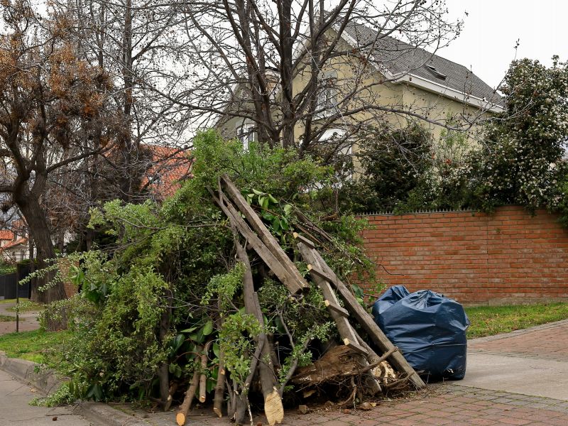 Piles of Leaves Ready for Removal