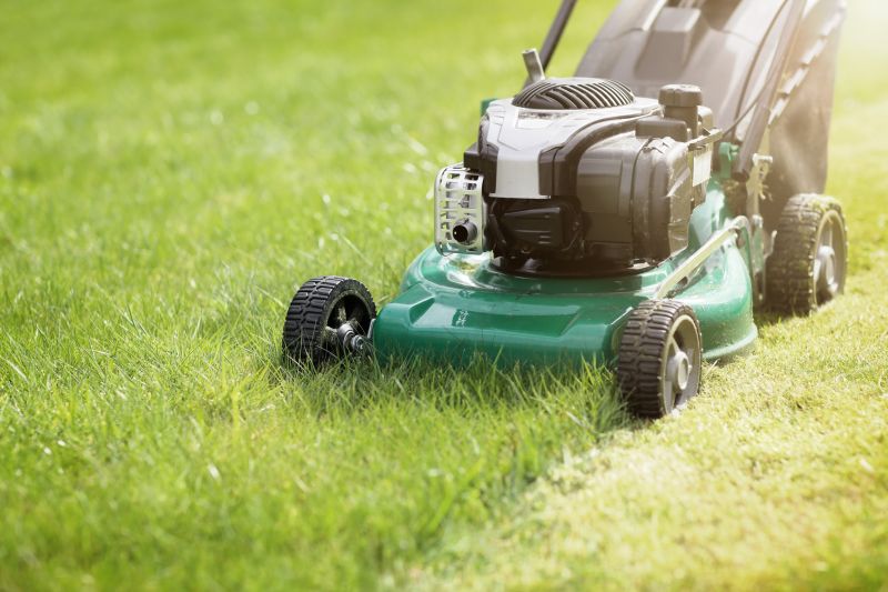Spring lawn preparation